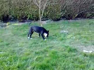 Dior dans le parc à environ 6 mois