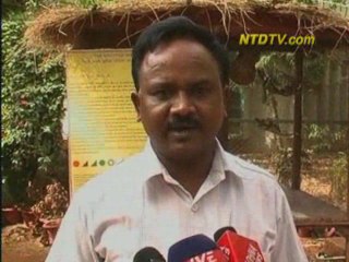 Как спасти животных от жары?