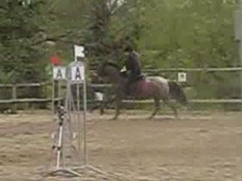 CSO Concarneau Jamaica & Gladys