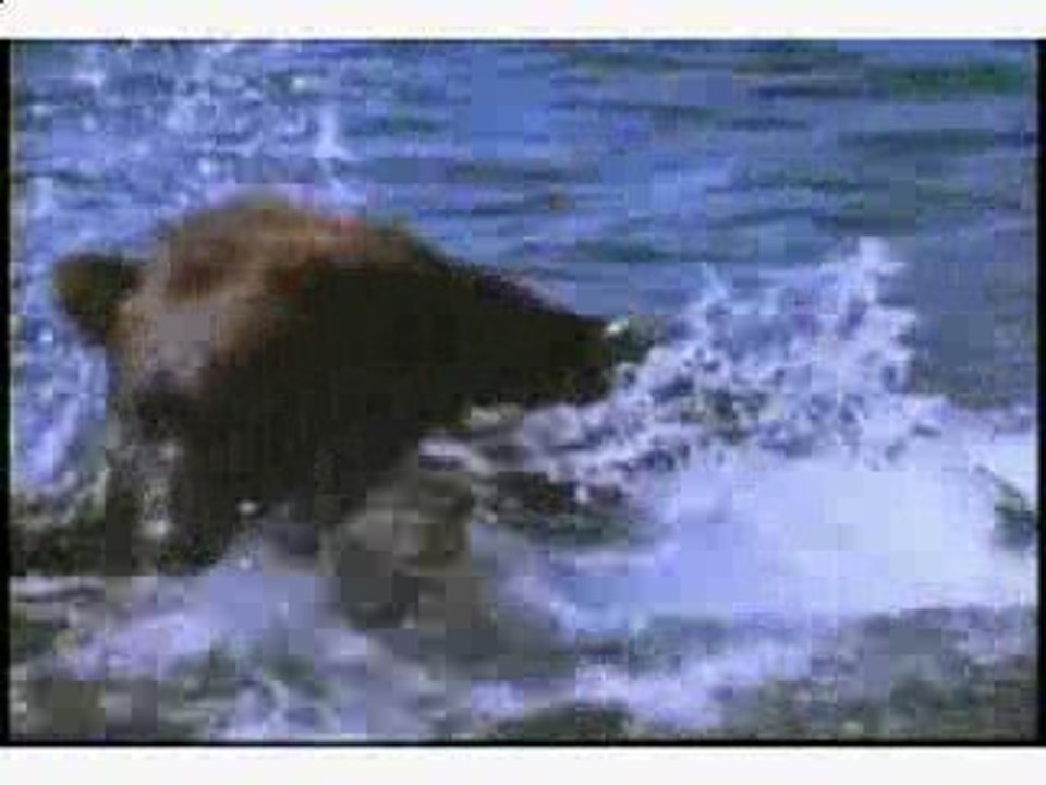 Infidelite-selon-la-nat