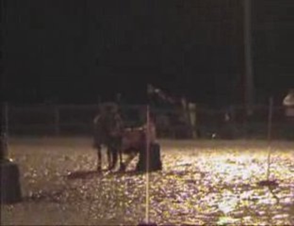 Pony Games Logis Nocturne 2009 Part 1