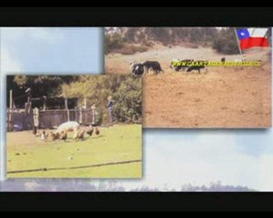 Cartagena de Chile Turismo Rural