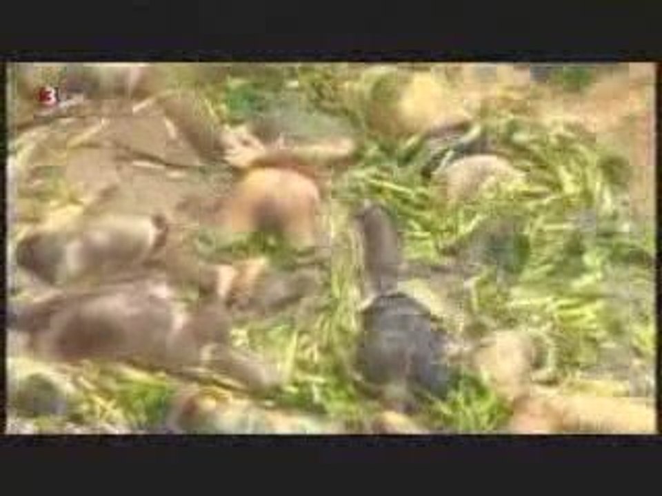 Die eine Weltregierung NWO - New World Order 14.04.2009