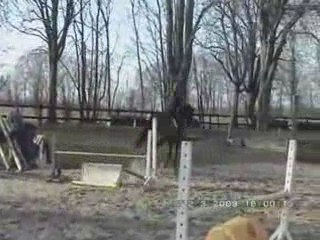 Enchainement 1er groupe_0001