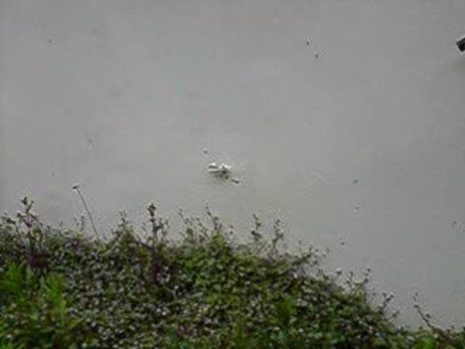 Régis tir au fusil d'assault 2