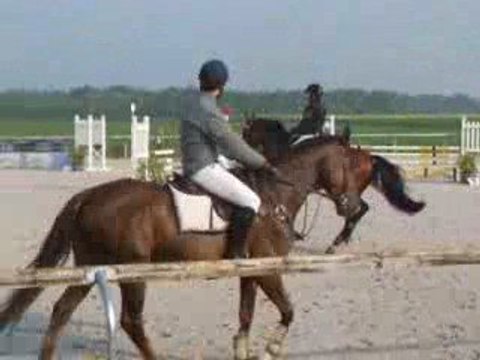 Quinoa de blois - Les maillys - GP100