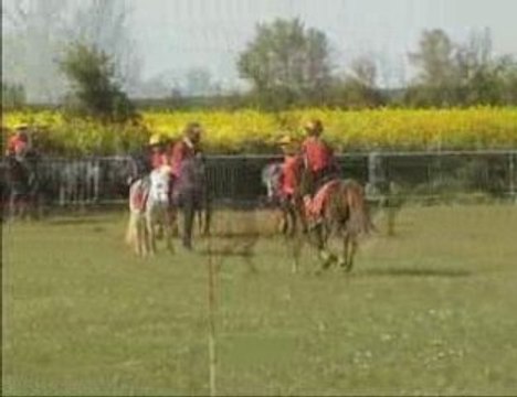 Pony Games Logis Mai 2009 Part 2