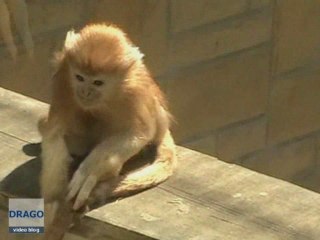 05/2009 Miejski Ogród Zoologiczny w Gdańsku
