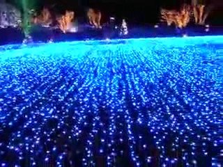 [限定公開]　２００８年 TOKYO MIDTOWN ILLUMINATION