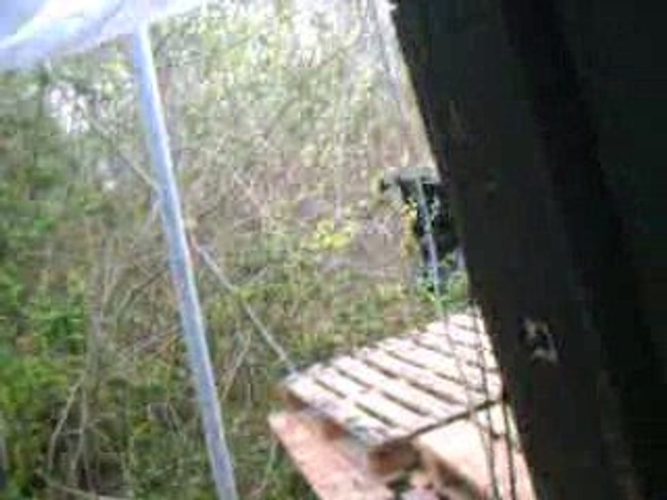 Tekos 2009 HySTeRoKRaT aRT'kOr 6TeM