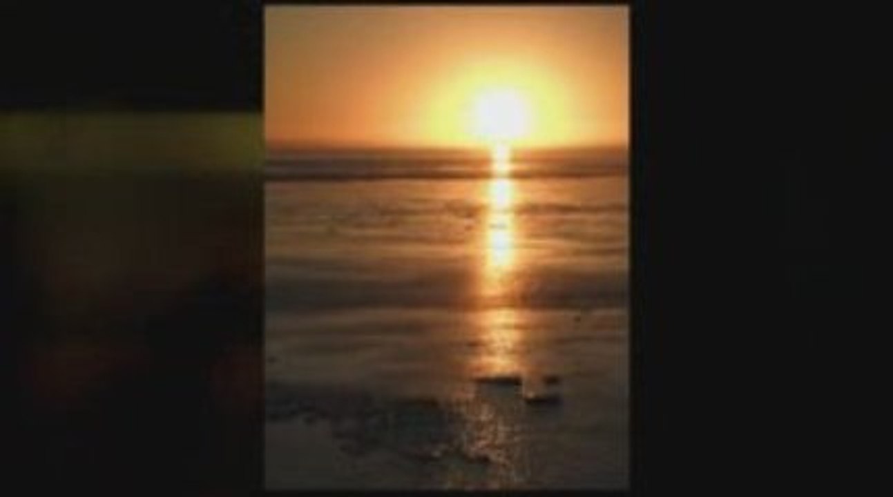 Antiaging Resveratrol