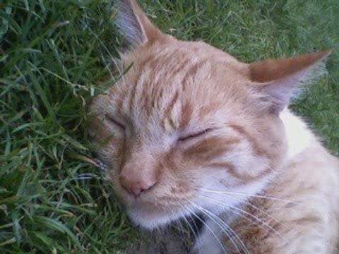 Pour toi mon bébé d'amour