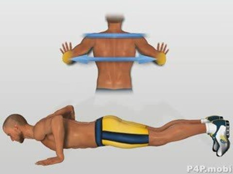 Pectoral Chest Muscles - Explosive Push UP
