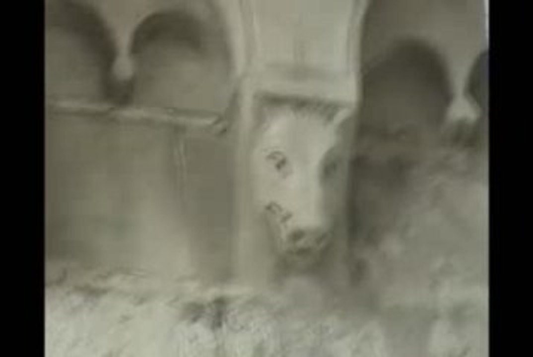 BEAUVAIS église st étienne et cathédrale st Pierre