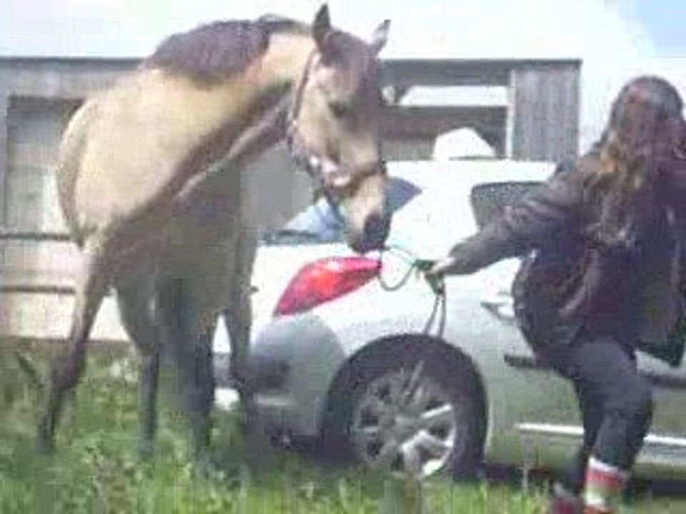 Le Iaou' & des coupains =p
