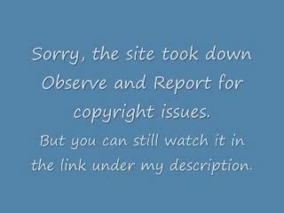 Observe and Report 1/15