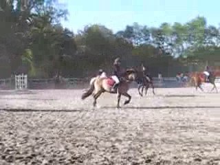 CD CCE 56 Tour d'honneur