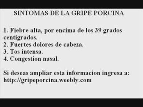 Gripe porcina (h1n1) - sintomas de la gripe porcina y precau