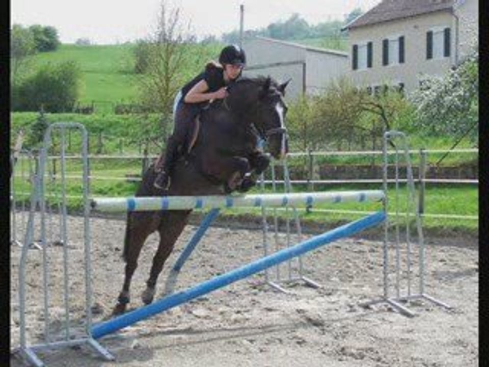Claire et Maestro