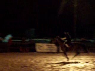 5 tasses Zippys nocturne