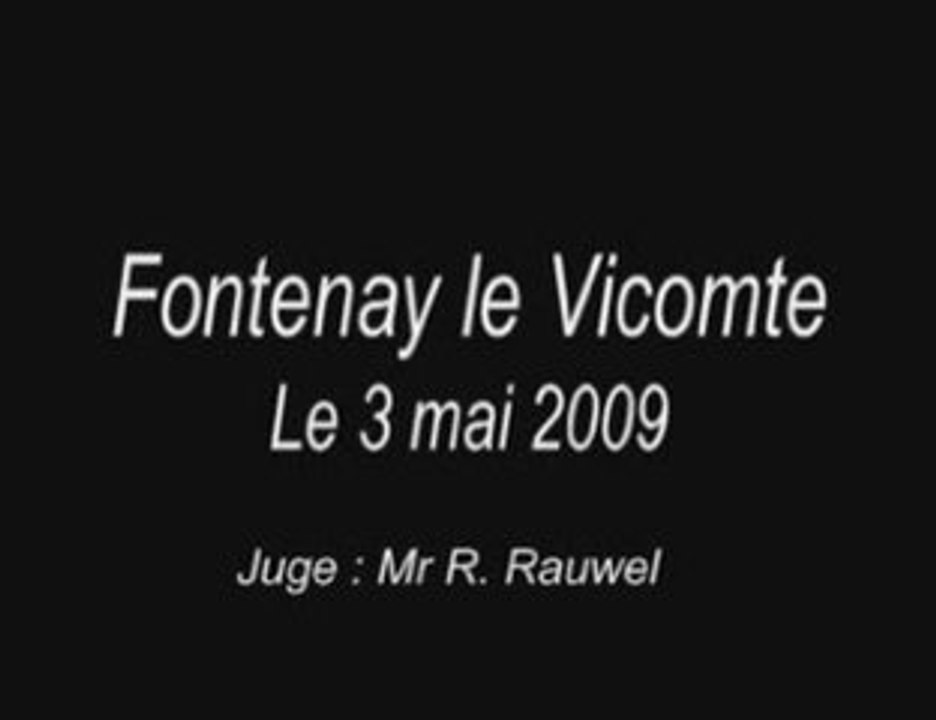 Fontenay le vicomte le 3 mai 2009 (babou)