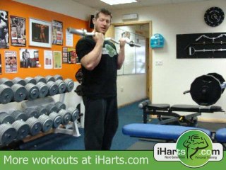 Barbell Curl (EZ barbell curl) (HQ) by iHarts.com