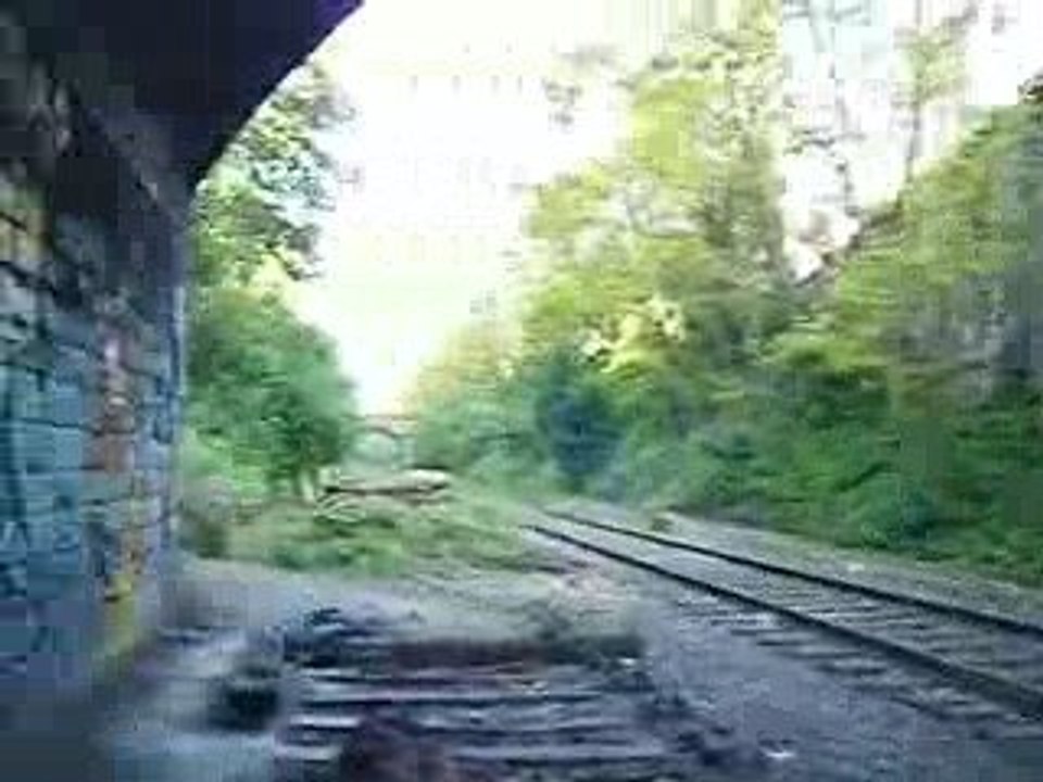 Petite Ceinture à 8h00