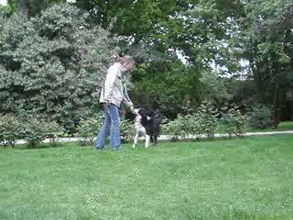 MOV03458
