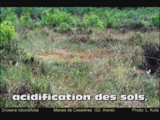 Pollution atmosphérique