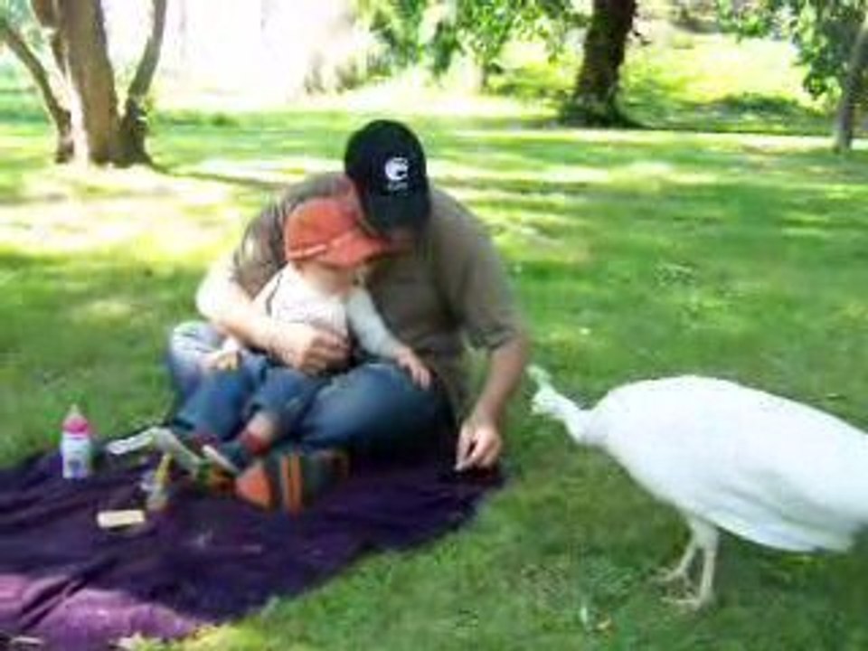 03 Mai 09 je partage mon gouter