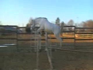 THE saut en liberté