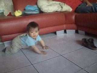 mon glouton a 4 pattes