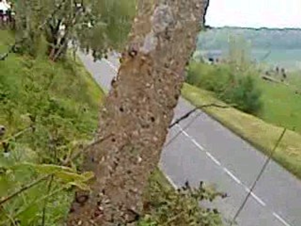 course de cote Andelys 2009 2ème passage monoplaces...