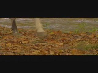 The-trail-of-tears-512-kb