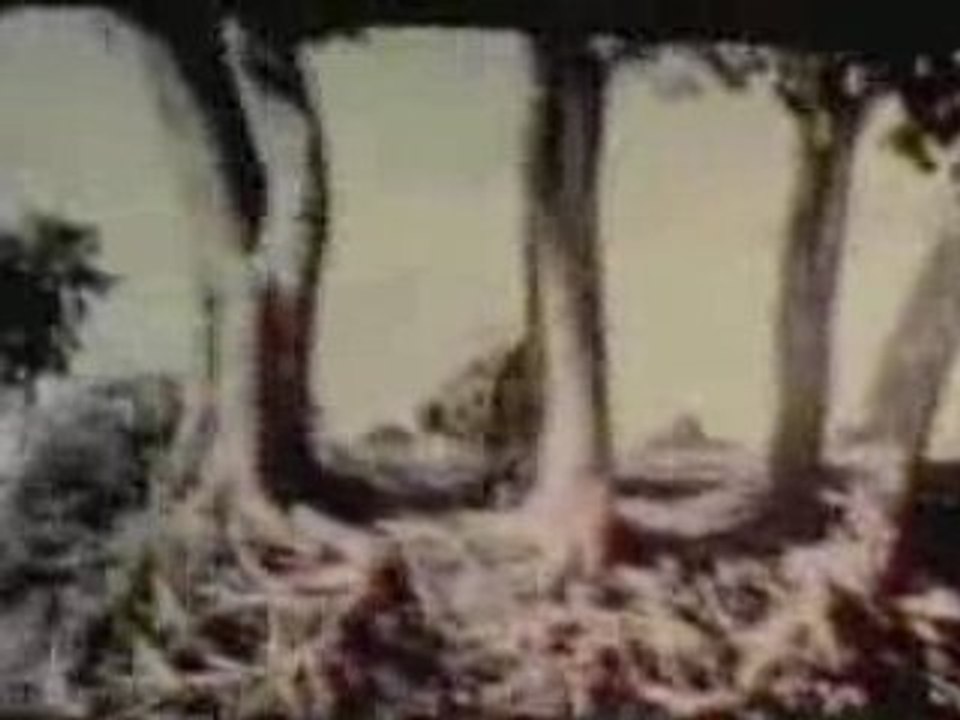 Neava Chivit - Sinn Sisamouth