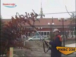 PAINIER ÇOK FONKSİYONLU BAHÇE EKİPMANI