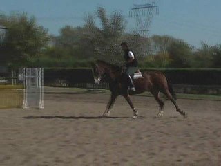 Equitacion Concurso  saltos hipicos  www.deportesparavos.tv