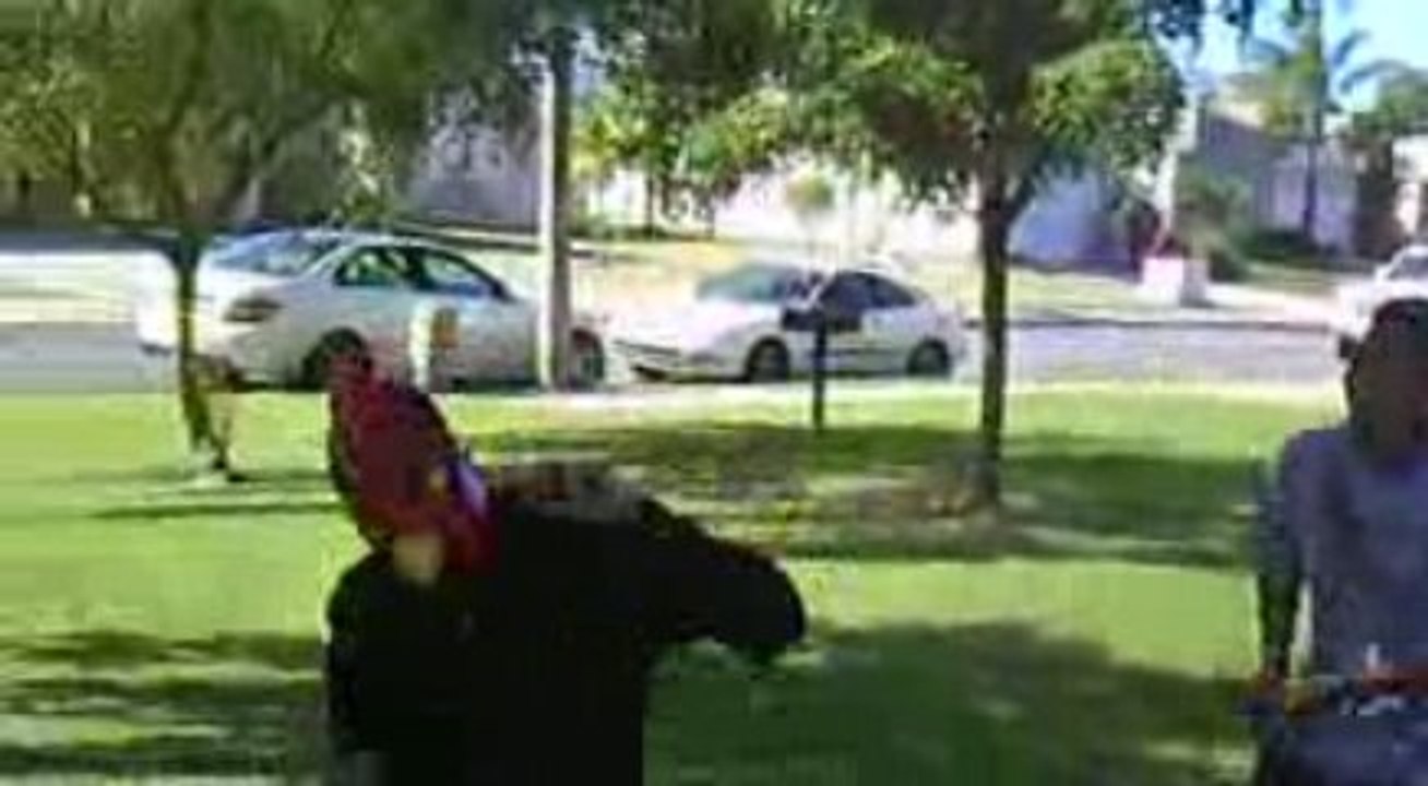 Mexican_Dude_Crosses_Over_To_Puerto_Rico