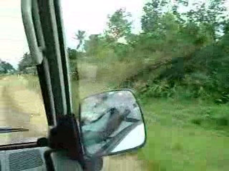 TAMATAVE FENERIVE EST