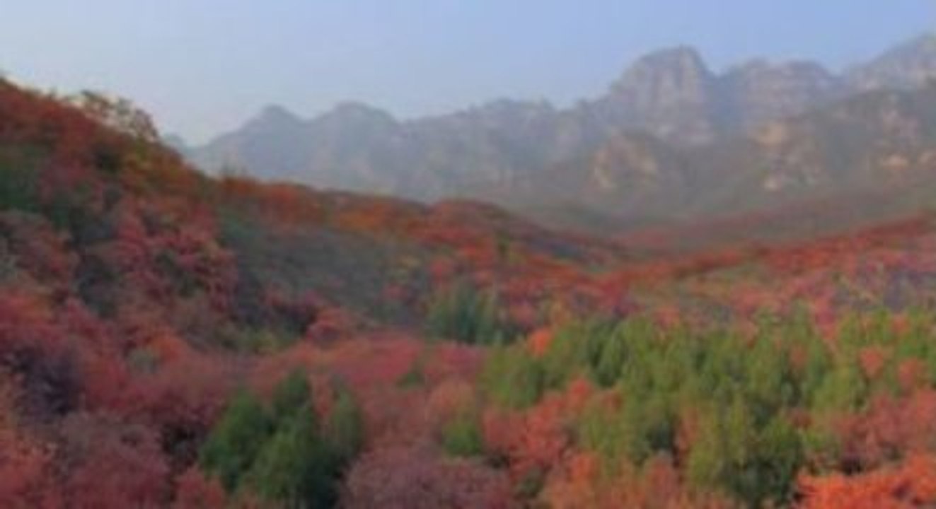 HOME - un film de Yann Arthus-Bertrand