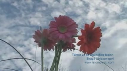 Tumor va ko'zmunchoq taqish - Shayx Obid qori, uzbek