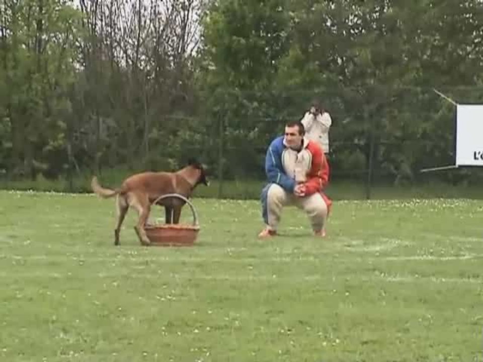 Aurane de Malfosse sélectifs Ring 2009 juryC LaNeuvillette