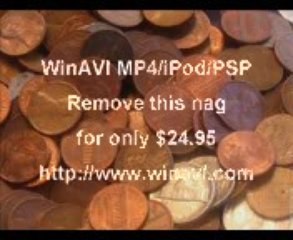 Vive le capitalisme*(voir esclavage)