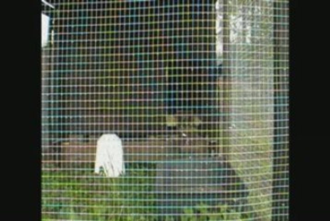 Sortie des ns 26 avril.