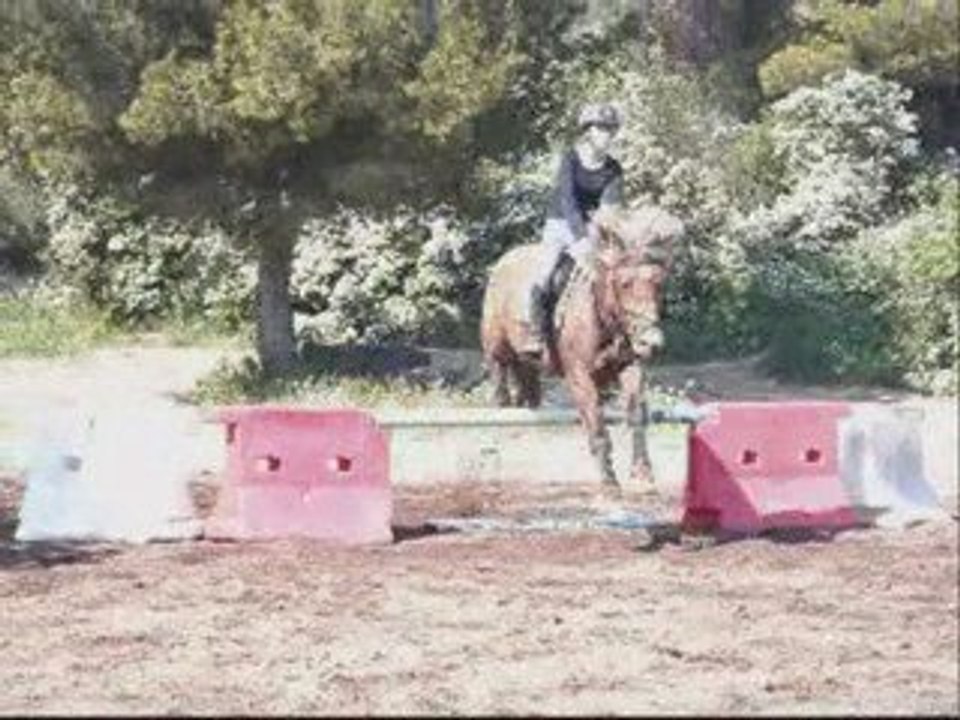 Senka