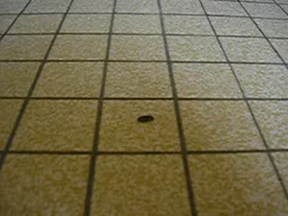 2eme essai de la crotte