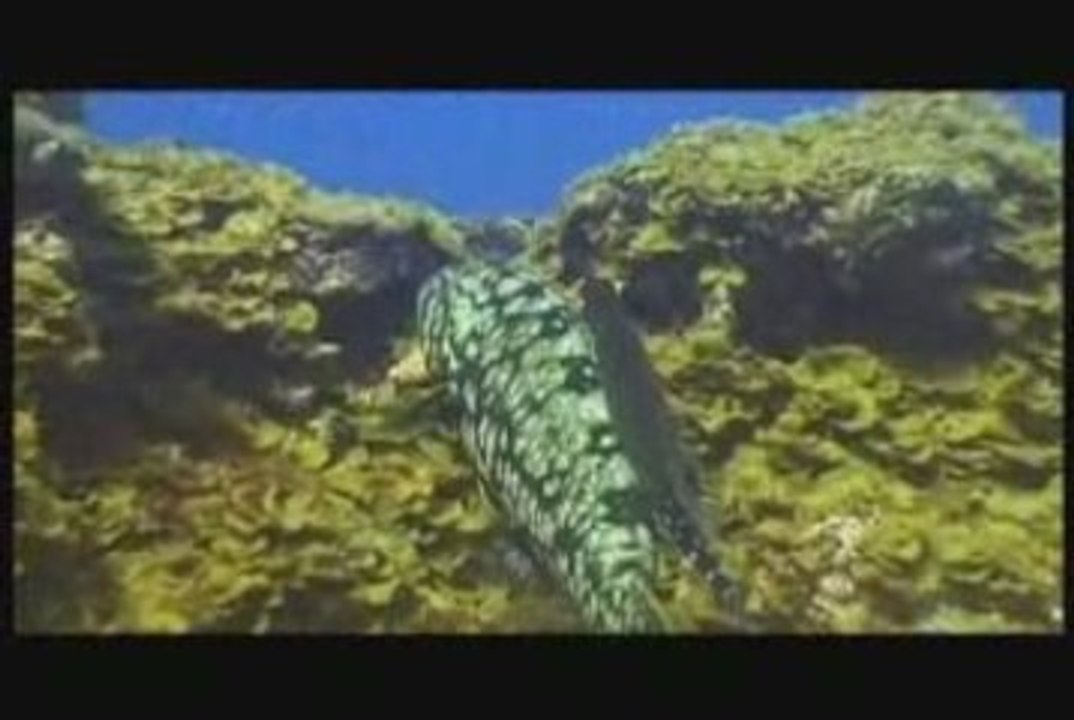 El Hierro, Islas Canarias  -  Canary Islands