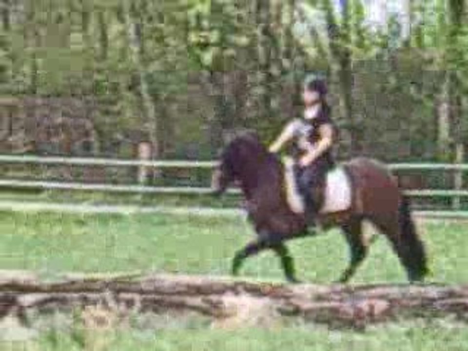 Dans le cross 2