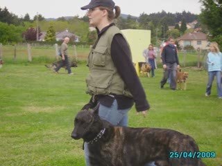 Cash du Domaine Des Sphinx Noirs dit Cachou