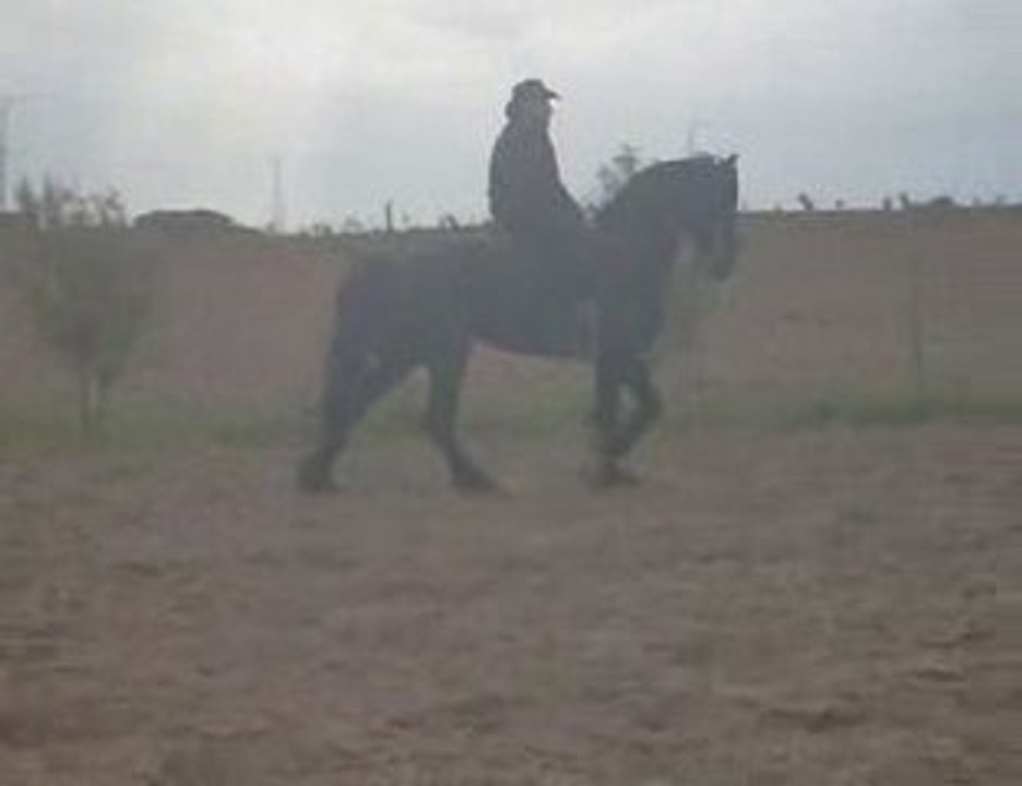 Ferme tiflet